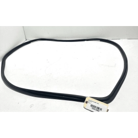 Toyota Camry LE 2018 Front Right Passenger Door Body Wheatherstrip Seal OEM