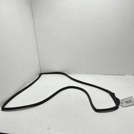 Front Left Side On Door Weatherstrip Seal Acura TLX 2021-2023 OEM