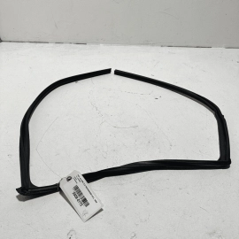 Rear Right Side Window Channel Door Run Seal Glass Acura TLX 2021-2023 OEM