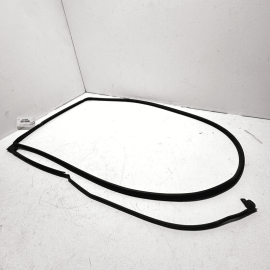 Rear Right Passenger Side Door Weatherstrip Rubber Seal Acura TLX 2021-2023 OEM