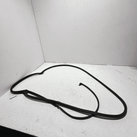 Rear Right Passenger Side Door Weatherstrip Rubber Seal Acura TLX 2021-2023 OEM