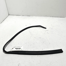 Rear Left Side Door Lower Weatherstrip Seal Acura TLX 2021-2023 OEM