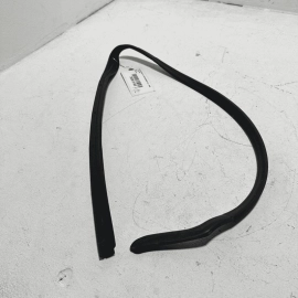 Rear Left Side Door Lower Weatherstrip Seal Acura TLX 2021-2023 OEM