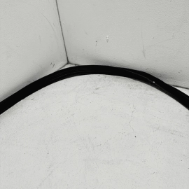 TOYOTA CAMRY 2018-2023 REAR TRUNK DECK LID WEATHERSTRIP SEAL OEM