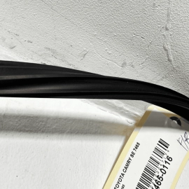 2018 - 2022 TOYOTA CAMRY FRONT PASSENGER SIDE WINDOW GLASS RUN CHANNEL SEAL OEM
