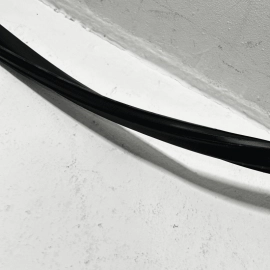 2018 - 2022 TOYOTA CAMRY FRONT PASSENGER SIDE WINDOW GLASS RUN CHANNEL SEAL OEM