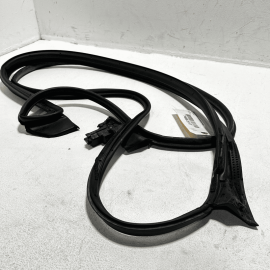 2018-2024 TOYOTA CAMRY DOOR WEATHERSTRIP SEAL FRONT RIGHT PASSENGER SIDE OEM