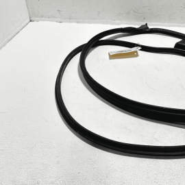 2018-2024 TOYOTA CAMRY DOOR WEATHERSTRIP SEAL FRONT RIGHT PASSENGER SIDE OEM