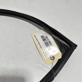 ACURA TLX 2015-2020 REAR LEFT DRIVER SIDE DOOR WINDOW GLASS RUN CHANNEL SEAL OEM