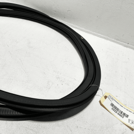 Front Right Side Door Body Weatherstrip Seal Volkswagen Taos 2022-2023 OEM