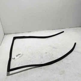 2016-21 Honda Pilot Rear Passenger Door Glass Run Channel Weatherstrip Seal OEM