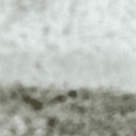 Rear Left Side Door Arm Armrest Lining Trim Cover Acura TLX A-SPEC 2018-2020 OEM