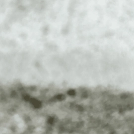 Rear Left Side Door Arm Armrest Lining Trim Cover Acura TLX A-SPEC 2018-2020 OEM Rear Left Side Door Arm Armrest Lining Trim Cover Acura TLX A-SPEC 2018-2020 OEM