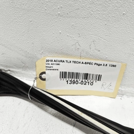 Rear Left Driver Side Door Window Glass Run Channel Acura TLX 2015-2020 OEM