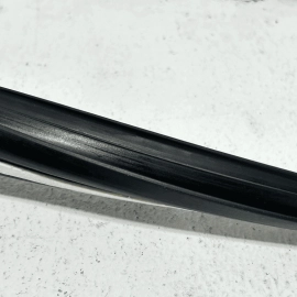 Rear Left Driver Side Door Window Glass Run Channel Acura TLX 2015-2020 OEM