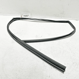 Rear Left Driver Side Door Window Glass Run Channel Acura TLX 2015-2020 OEM