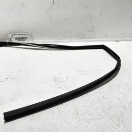 Rear Left Driver Side Door Window Glass Run Channel Acura TLX 2015-2020 OEM