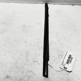 Rear Left Driver Side Door Window Belt Molding Acura TLX 2018-2020 OEM