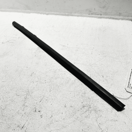 Rear Left Driver Side Door Window Belt Molding Acura TLX 2018-2020 OEM