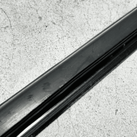 Rear Left Driver Side Door Window Belt Molding Acura TLX 2018-2020 OEM