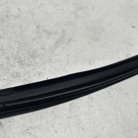 2016-2021 HONDA PILOT LIFTGATE BACK DOOR TAILGATE BODY WEATHERSTRIP SEAL OEM