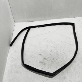 2016-2021 HONDA PILOT FRONT RIGHT SIDE DOOR WINDOW GLASS RUN CHANNEL SEAL OEM