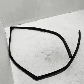2016-2021 HONDA PILOT FRONT RIGHT SIDE DOOR WINDOW GLASS RUN CHANNEL SEAL OEM