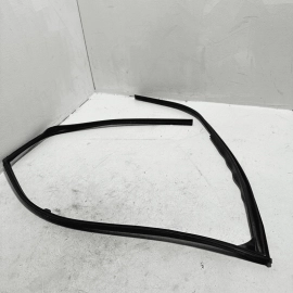 2016-2021 HONDA PILOT FRONT RIGHT SIDE DOOR WINDOW GLASS RUN CHANNEL SEAL OEM