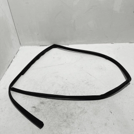 2016-2021 HONDA PILOT FRONT RIGHT SIDE DOOR WINDOW GLASS RUN CHANNEL SEAL OEM