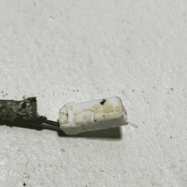 2016-21 Honda Pilot Passport Rear Left Driver Side Door Wire Wiring Harness OEM