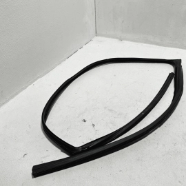 Front Passenger Glass Window Run Channel Weathers Toyota Camry 2018-2024 OEM