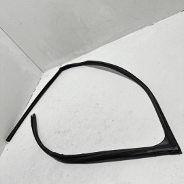 Front Left Glass Window Run Channel Weathers Toyota Camry 2018-2024 OEM