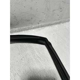 2018-2024 TOYOTA CAMRY REAR LEFT DRIVER DOOR WINDOW GLASS RUN CHANNEL SEAL OEM