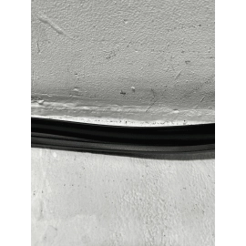 2018-2024 TOYOTA CAMRY REAR LEFT DRIVER DOOR WINDOW GLASS RUN CHANNEL SEAL OEM
