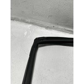 2018-2024 TOYOTA CAMRY REAR LEFT DRIVER DOOR WINDOW GLASS RUN CHANNEL SEAL OEM