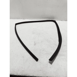 2018-2024 TOYOTA CAMRY REAR LEFT DRIVER DOOR WINDOW GLASS RUN CHANNEL SEAL OEM 2018-2024 TOYOTA CAMRY REAR LEFT DRIVER DOOR WINDOW GLASS RUN CHANNEL SEAL OEM