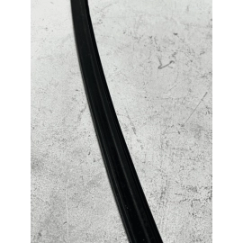 2018-2024 TOYOTA CAMRY REAR LEFT DRIVER DOOR WINDOW GLASS RUN CHANNEL SEAL OEM