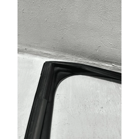 2018-2024 TOYOTA CAMRY REAR LEFT DRIVER DOOR WINDOW GLASS RUN CHANNEL SEAL OEM