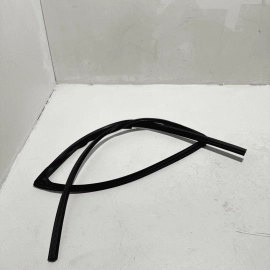 2016-22 Honda Pilot EX-L Door Window Glass Run Channel Seal Rear Left Driver OEM