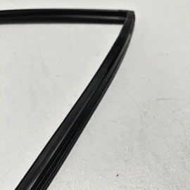 2016-22 Honda Pilot EX-L Door Window Glass Run Channel Seal Rear Left Driver OEM