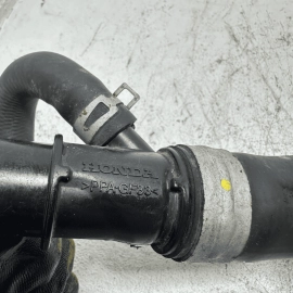 Engine Radiator Lower Water Coolant Hose Pipe Tube Honda Pilot 2016-2022 OEM