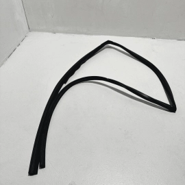 Honda Pilot Rear Passenger Door Glass Run Channel Weatherstrip Seal OEM 2016-21