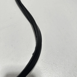 Honda Pilot Rear Passenger Door Glass Run Channel Weatherstrip Seal OEM 2016-21