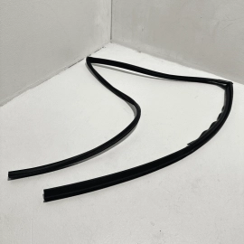 Honda Pilot Rear Passenger Door Glass Run Channel Weatherstrip Seal OEM 2016-21