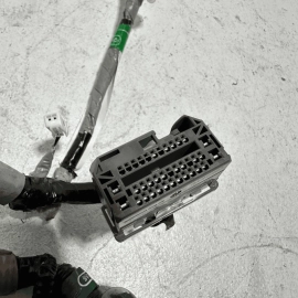 Honda Pilot Elite Front Left Driver Door Sub Wire Wiring Harness 2016-2021 OEM