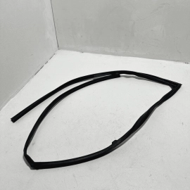 HONDA PILOT FRONT RIGHT SIDE DOOR WINDOW GLASS RUN CHANNEL SEAL 2016-2023 OEM
