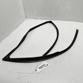 HONDA PILOT FRONT RIGHT SIDE DOOR WINDOW GLASS RUN CHANNEL SEAL 2016-2023 OEM