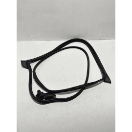 2018 - 2024 TOYOTA CAMRY FRONT OUTER LEFT DRIVER SIDE DOOR WEATHERSTRIP SEAL OEM