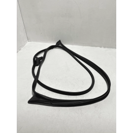 2018 - 2024 TOYOTA CAMRY FRONT OUTER LEFT DRIVER SIDE DOOR WEATHERSTRIP SEAL OEM
