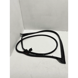 2018 - 2024 TOYOTA CAMRY FRONT OUTER LEFT DRIVER SIDE DOOR WEATHERSTRIP SEAL OEM